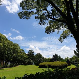 Profile Picture of Soyong Pak (@soyongpak) on Facebook