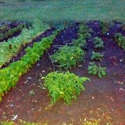 Profile Picture of Paul Grigsby (@paulgrigsby4310) on Youtube