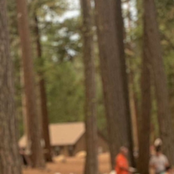 Profile Picture of Shyla Azevedo (@shylaazevedo716) on Poshmark