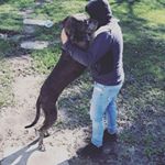 Profile Picture of Jonathan LLanes (@llanes98) on Instagram