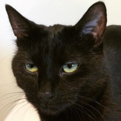 Profile Picture of Trey Blanton (@TreyBlanton_) on Twitter