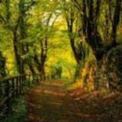 Profile Picture of Gabriel Peralta (@GabrielDoor) on Twitter