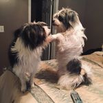 Profile Picture of Debbie Mckenna (@debbiemckenna9) on Instagram