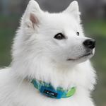 Profile Picture of James Bennard Peter (@jp232036) on Instagram