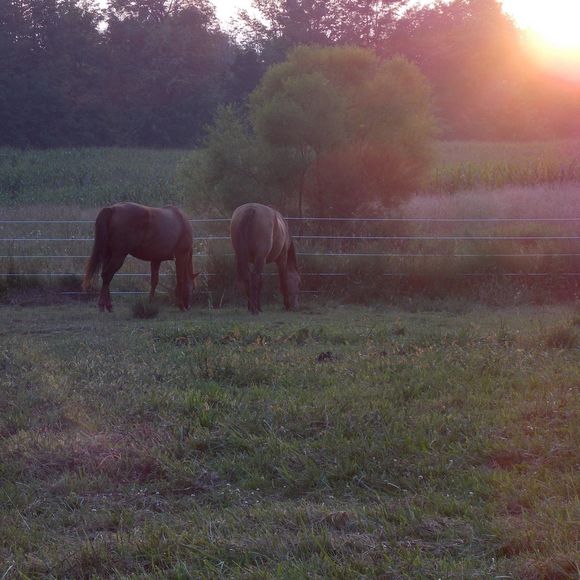 Jeff Krauskopf - Poshmark Profile Picture of Jeff Krauskopf (@jeffkrauskopf) on Poshmark