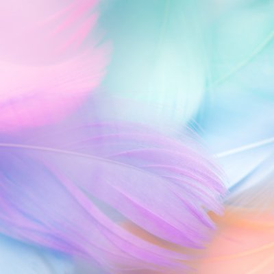 Profile Picture of Tara Km03 (@MerrifieldTara) on Twitter