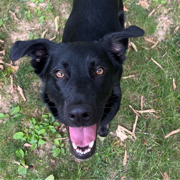 Profile Picture of Victoria Czerwien (@vickaay22) on Poshmark