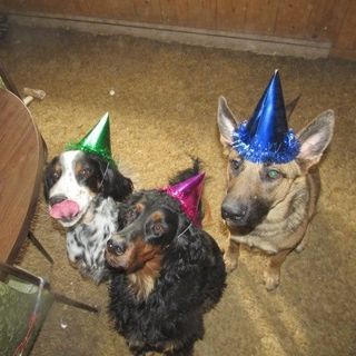 Profile Picture of Chuck Gannon (@chuck.gannon.9) on Facebook