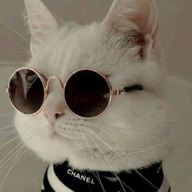 Profile Picture of Kırık kalp parçaları (@Azra706) on Pinterest