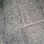 Sue Thornton - Instagram Profile Picture of Sue Thornton (@suethornton1955) on Instagram