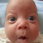 Profile Picture of David Steffel (@david_steffel_) on Instagram