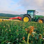 Profile Picture of David Wagner (@David-Wagner) on Facebook