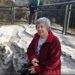 Profile Picture of Norma A Campbell (@nanscowsnz) on Pinterest