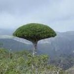 Profile Picture of Mohammad Abdelaziz (@mohammad_abdelaziz) on Instagram