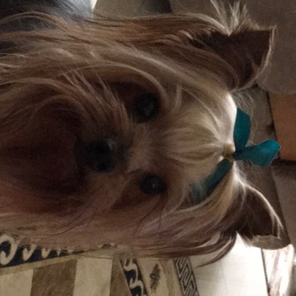 Profile Picture of Helen Van alstine (@daccgranny) on Poshmark