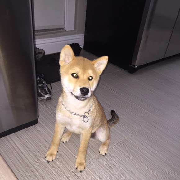 Profile Picture of Iris Ching (@irjench9) on Poshmark