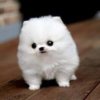 Brianna Lindsey - Twitter Profile Picture of Brianna Lindsey (@LoveLindsey499) on Twitter