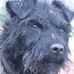 Profile Picture of Steve Wright (@steve.wright.7106) on Facebook
