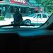 Profile Picture of Gregory Minor (@gregoryminor12) on Pinterest