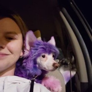 Profile Picture of Skylar Plaud (@SkylarPlaud) on Twitter