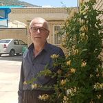 Profile Picture of mahmood karimi (@mahmod.6115) on Instagram