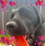 Profile Picture of Andrea Daniels (@andrea.daniels.104) on Facebook