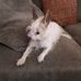 Profile Picture of Lynette Hicks (@lynette.hicks.108889) on Facebook