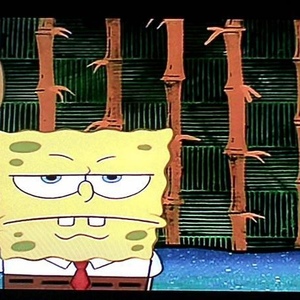 Profile Picture of Darcy Theodore (@darcytheo) on Myspace