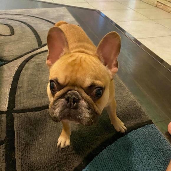 Profile Picture of Aaron Sidranski (@asidranski) on Poshmark