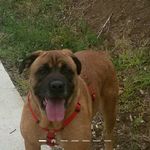 Profile Picture of alexmancino (@alex.mancino10) on Instagram