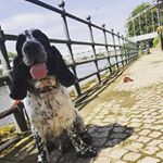 Profile Picture of Joanne Smith (@joanne.rutter.12) on Instagram