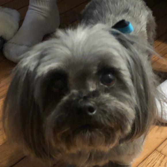 Profile Picture of Adam Alguire (@adamalguire) on Poshmark