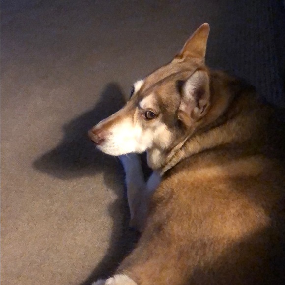 Profile Picture of Chris Creagan (@majormelon12) on Poshmark