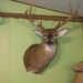Profile Picture of Mary Eggemeyer (@marye_1975) on Pinterest