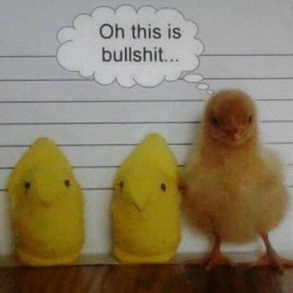 Profile Picture of Cecilia Merrill-daggett (@bigmommadaggett) on Poshmark