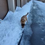 Profile Picture of Jerry Allen (@jerry.allen.1671) on Instagram