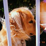 Profile Picture of Leonor Figueiredo (@leonor_jesus_figueiredo) on Instagram