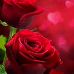 Profile Picture of Sonjoy Kar (@sonjoy.biswas.538365) on Facebook