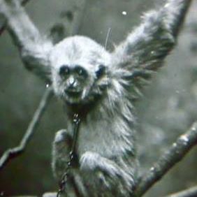 Profile Picture of David Ergas (@david.ergas.7) on Facebook