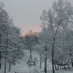 Profile Picture of Tony Snellings (@snellings.tony) on Instagram