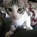 Profile Picture of Barbara Engler (@Barbara-Engler) on Facebook