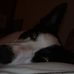 Profile Picture of Nathan Larkin (@nathan.larkin.9421) on Facebook