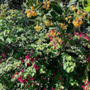 Profile Picture of Char Cooper (@charmcoop1) on Youtube