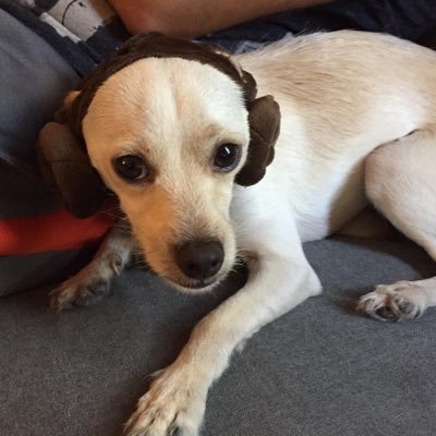 Profile Picture of Clementine Roberts (@JamesRe41539764) on Twitter