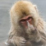 Profile Picture of Lucky Bastard (@_joshua_joseph) on Instagram