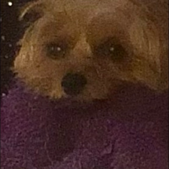 Profile Picture of Debbie Seal (@dseal322) on Poshmark