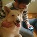 Profile Picture of Tom Rogmans (@tom.rogmans.7) on Facebook