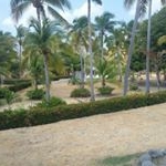 Debora morrison - Instagram Profile Picture of Debora morrison (@deboramorrison5457) on Instagram