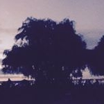 Profile Picture of Jayden (@jayencorrigan) on Instagram