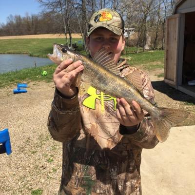 Profile Picture of Joseph Oswalt (@OswaltJoseph) on Twitter